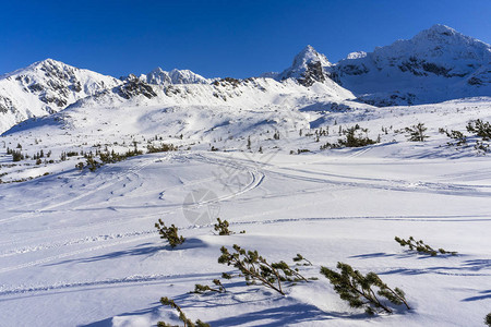 波兰塔特拉山脉的冬季风图片