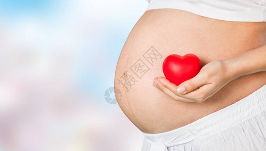 年轻怀孕妇女手里有心脏形图片