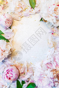 白色背景上的粉红小马花框架女花朵的构成平面图片