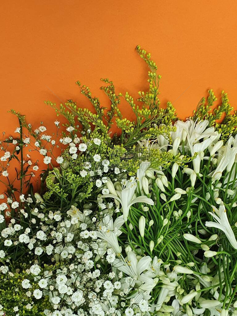 白色百子莲花朵和叶子和橙色背景的花束图片