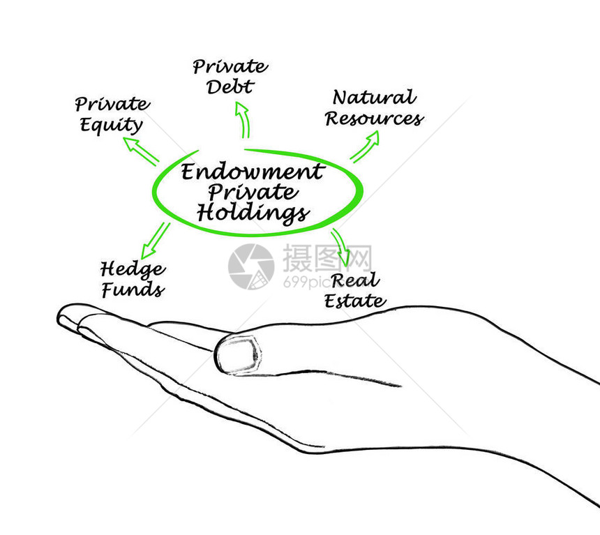 EndowmentPrivateHoldings的资产图片