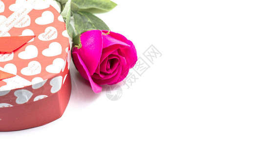 情人节背景的盛开的玫瑰花图片