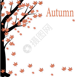 秋天的树木在阳光明媚的10月公园被傍晚的阳光照亮五颜六色的秋天风景图片