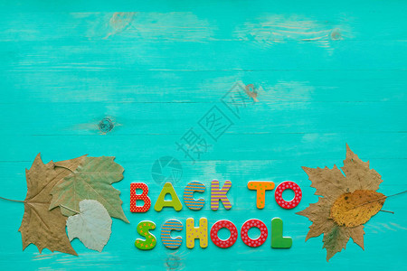 回到学校的概念平躺的木制绿松石背景与彩色字母和秋季干叶的文字复制空间学校教育和9月背景图片