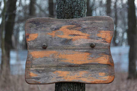 树上旧木头标志粗糙的木板表背景图片