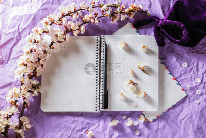 打开空白笔记本笔和樱桃开花分支图片