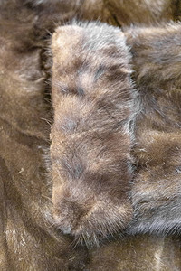 由天然貂皮制成的棕色外套的纹理表面图片