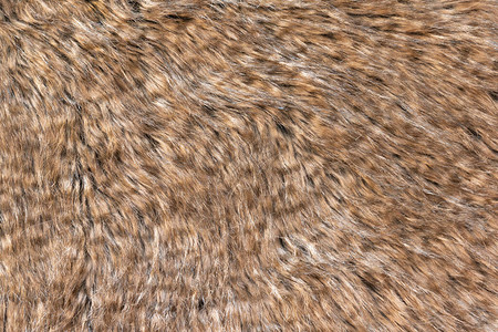 具有深色顶部纹理背景的棕色真羊毛橙色天然羊毛设计师的蓬松毛皮纹理图片