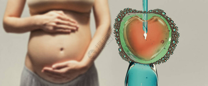 卵母细胞用于人工授精或体外受精的带有针头和精子的卵子人工授精或生育治疗背景