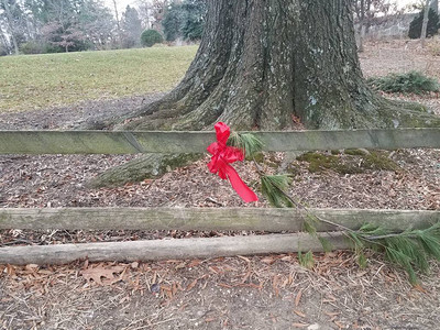 配有红弓节日装饰和图片