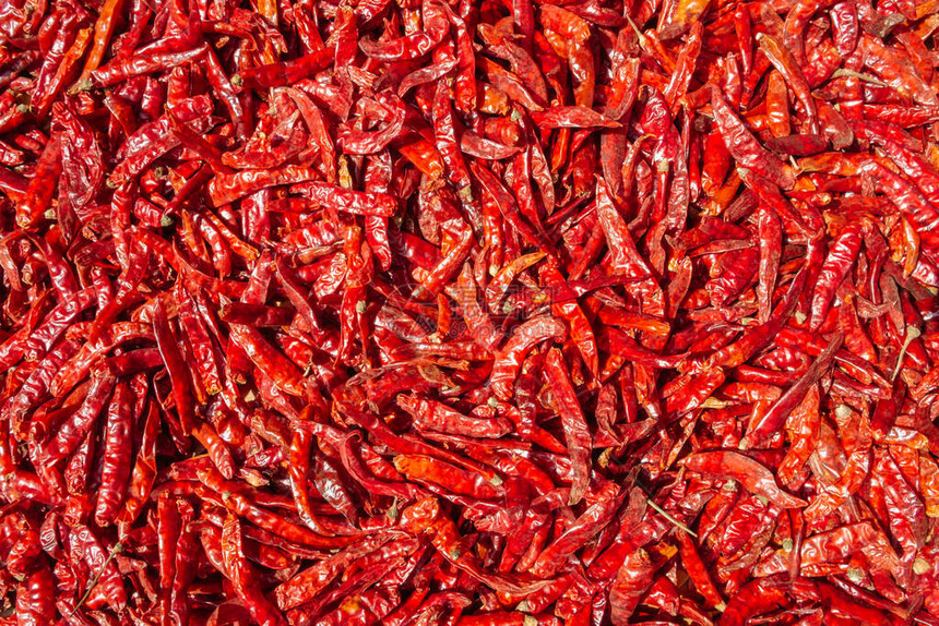 Capsaicin的干燥红辣椒当地最佳有机产品户外自然晒太阳法等养成的干燥热辣椒的纹图片