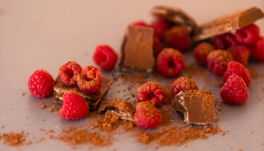 灰色背景巧克力上的红树莓果图片
