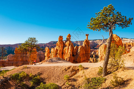 BryceCanyon公园美国图片