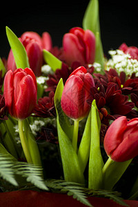 充满活力的红色郁金香和雏菊花束图片