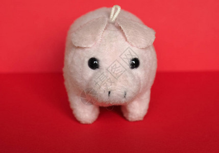 红色背景上的粉红色毛绒猪毛绒玩具动物图片