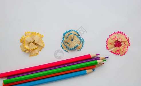 彩色木制铅笔和刨花内衬鲜花图片