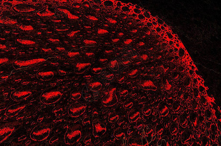 以强烈的红光照射下的独特雨滴摄影被转化成多种独特的图案和设背景图片