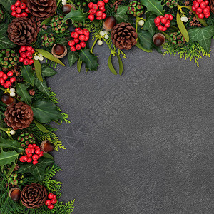 冬季和圣诞节背景与冬青槲寄生常春藤雪松叶橡子和松果在垃圾灰色背景图片