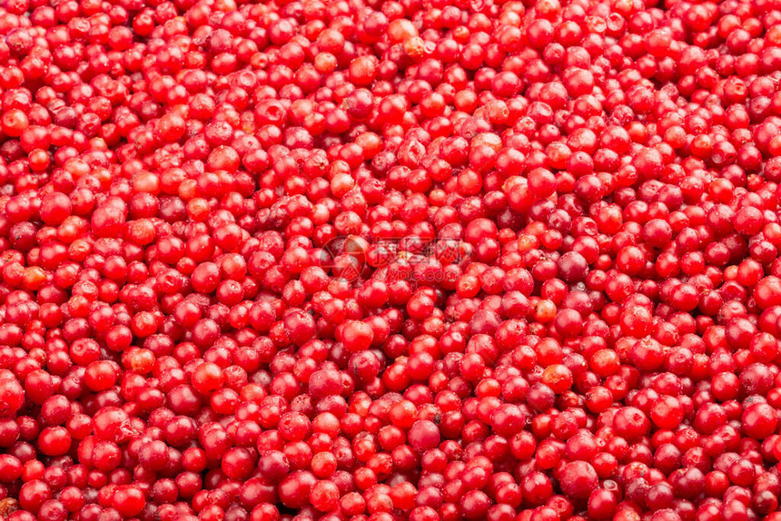 冷冻新鲜的林子莓浆果的食物背景装满林子莓的框图片