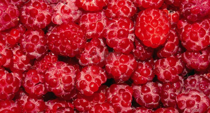 草莓森林果汁草莓背图片