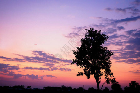 日落时间与剪影树和天空中的云彩图片