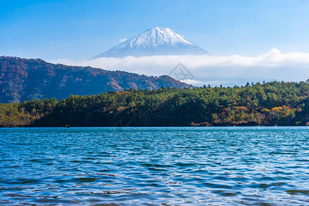 日本雅马纳西的秋天湖周围有木叶树的美高清图片