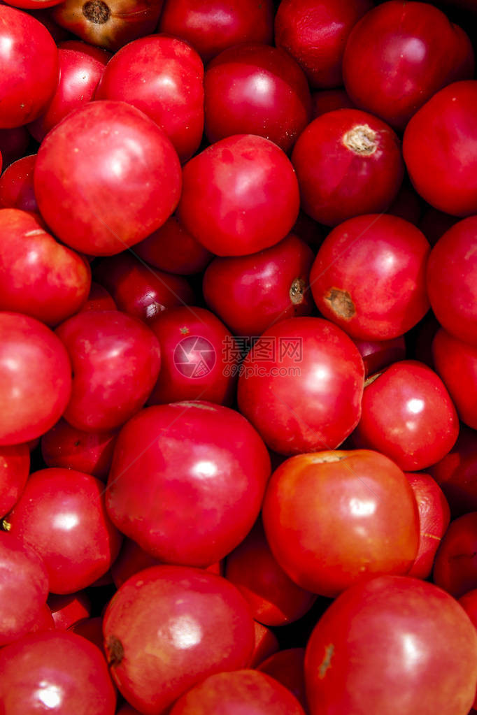 一堆美味成熟的西红柿图片