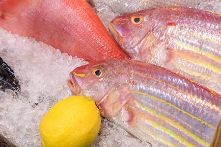 海鲜市场上的新鲜冰鱼加柠檬图片