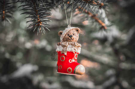 泰迪熊雪松树枝上的圣诞树装饰图片
