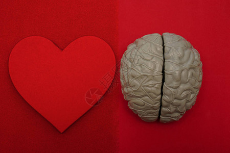 灰人大脑和红色背景的木心空复制吸附空间图片