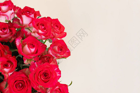 一束美丽的红玫瑰花框复制空间生日母亲节情人节妇女节图片