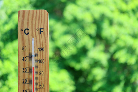 木质温度计前视线显示35度摄氏度背景中图片