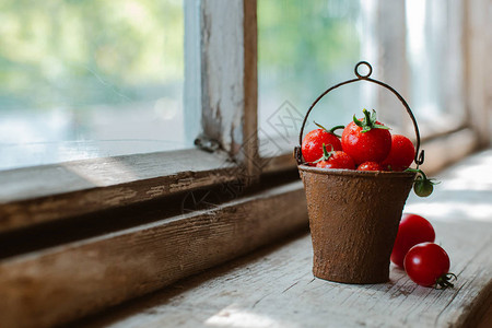 旧木窗背景上装饰生锈的旧桶中的樱桃番茄葡萄西红柿的美丽静物与水滴的光图片