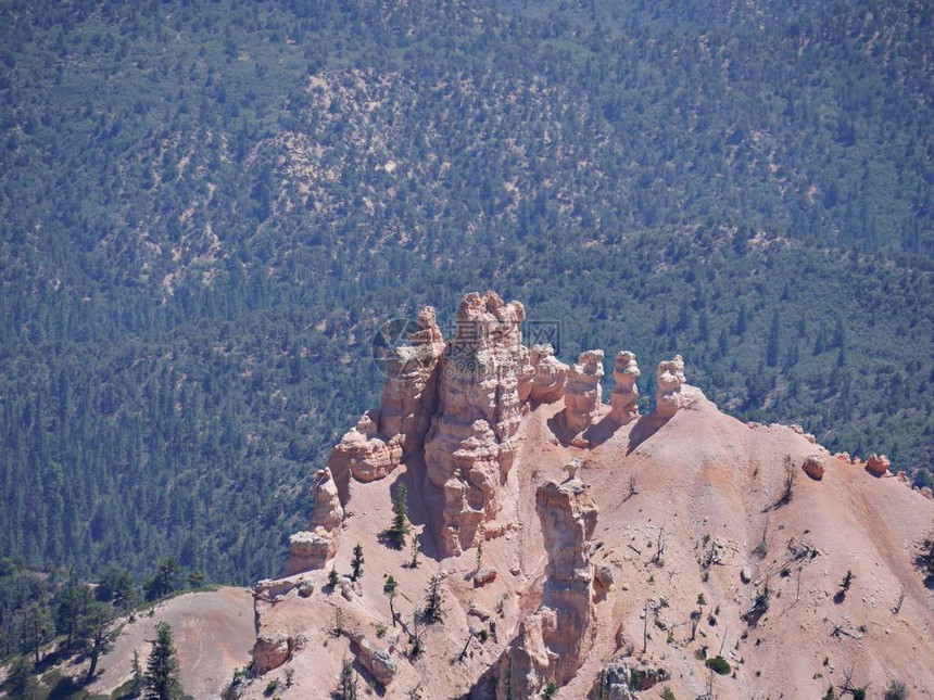 犹他州BryceCanyon公园的红色岩石顶图片