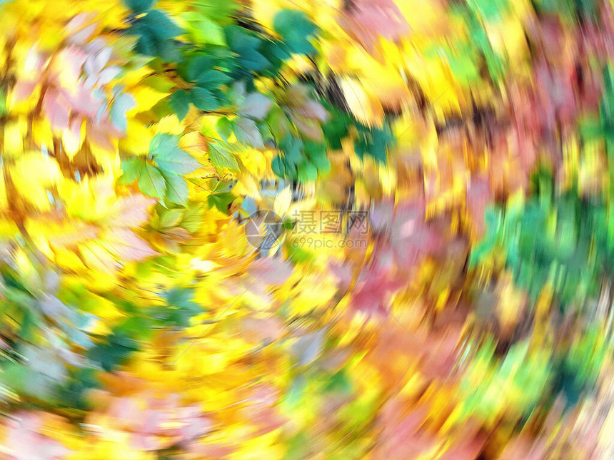 秋天在落叶中盘旋抽象运动模糊图片