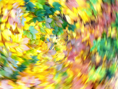 秋天在落叶中盘旋抽象运动模糊背景图片