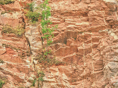 石灰矿墙表面结构钾和钠盐的地底多色墙碎片图片