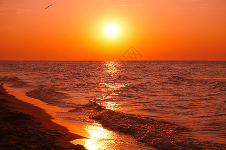 日落太阳在海图片