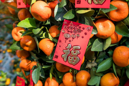 春节农历新年红包装饰橘子树图片
