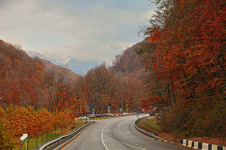 美丽的全景广阔的农村风景图片