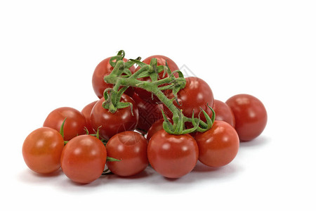 白色背景下分离的圆锥花序番茄背景图片