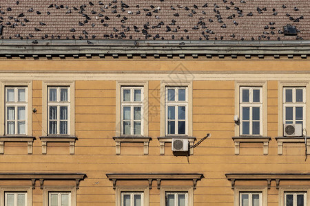 屋顶上有鸽子的老式橙色建筑图片