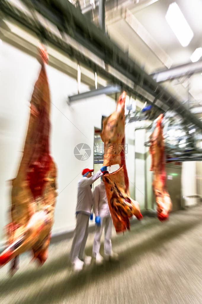 屠宰场肉类加工厂图片