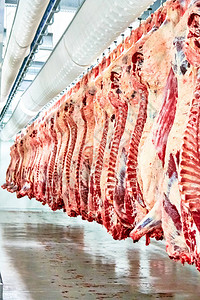 屠宰场肉类加工厂图片