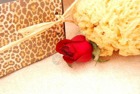 非洲肥皂盒带有豹状红玫瑰和在浴巾图片
