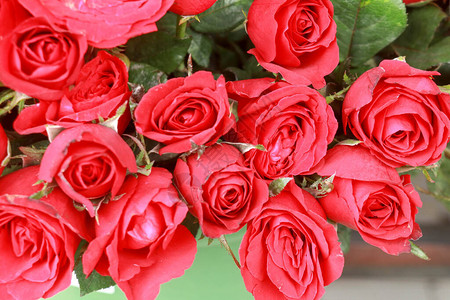 杂货店里的红玫瑰花束背景图片