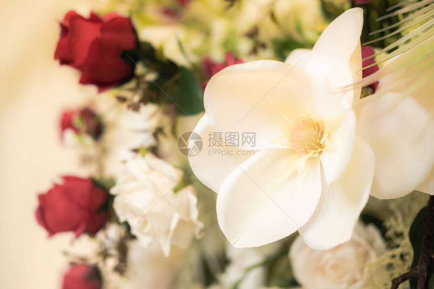 人造白花美丽的花背景图片