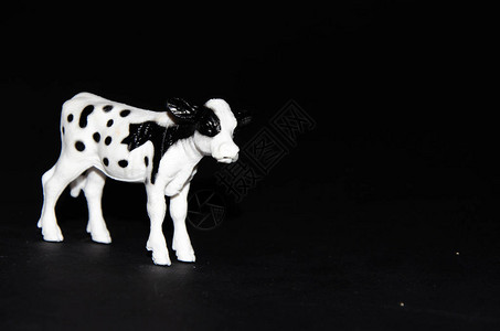 黑色背景的黑斑白色现实主义玩具复制空间Scopy图片
