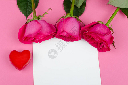 亮粉红玫瑰和白贺卡上的红心图片
