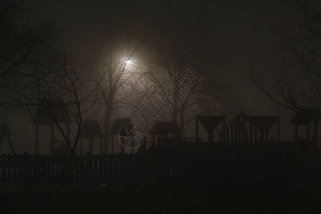 晚上路的雾图片